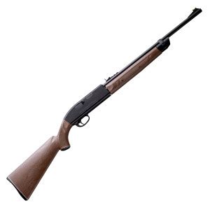 Crosman 2100 Classic - PBDionisioCo