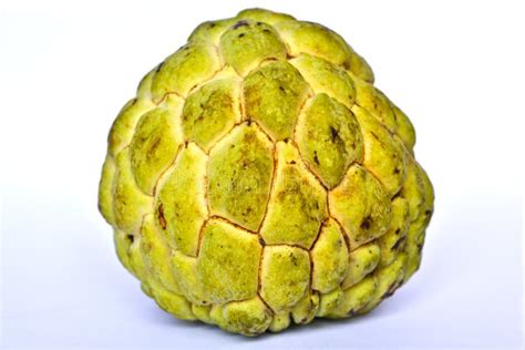 Fruit de corossol photo stock. Image du noni, pomme, produit - 32780764