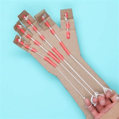 Make Your Own Robotic Hand With This Anatomical DIY | Diy for kids, Fun ...