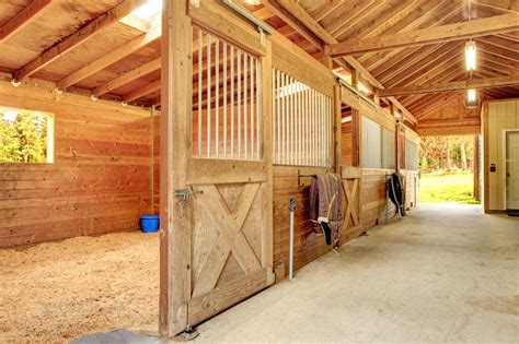 Best No-Worries Barn Flooring for Aisles, Tack Rooms, etc. - Horse Rookie