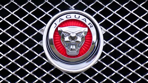 Free photo: Jaguar Emblem - Brand, Luxury, Steel - Free Download - Jooinn