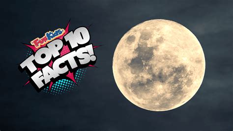 Top 10 Facts About The Moon! - Fun Kids - the UK's children's radio station