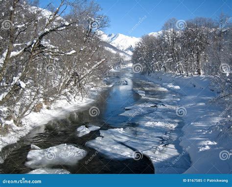 Winter Scene in Switzerland Stock Image - Image of switzerland ...