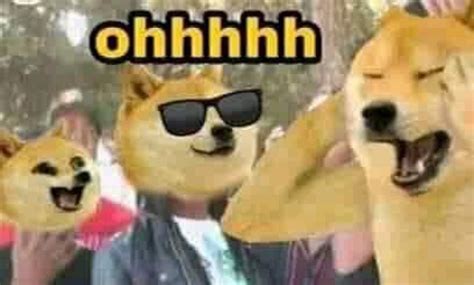 Doge Meme Template | All Doge Funny Meme Templates | Doge Memes - Memes