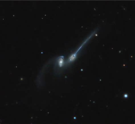 ARP 242 - The Mice Galaxies - Sky & Telescope - Sky & Telescope