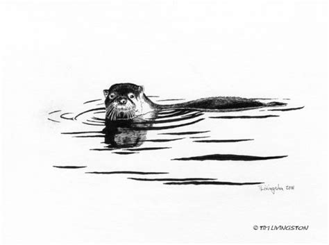 river otter drawings - Google Search | Otter tattoo, Otters, Otter ...