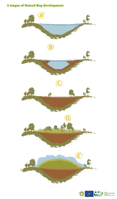 What is a raised bog? - The Living Bog