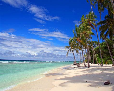 Tropical Paradises Pictures background your desktop photogallery, still ...