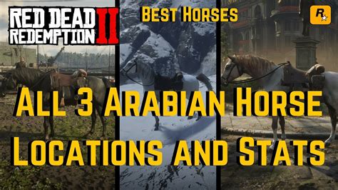 Red Dead Redemption 2 All 3 Arabian Horse Locations and Stats | Guide ...