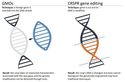 Genetically modified vs. gene editing - Wells Fargo