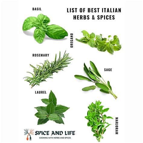 List Of Best Italian Herbs and Spices | Spice and Life