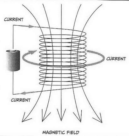 electromagnetism - Why doesn't the magnetic field of a coil "cancel out ...