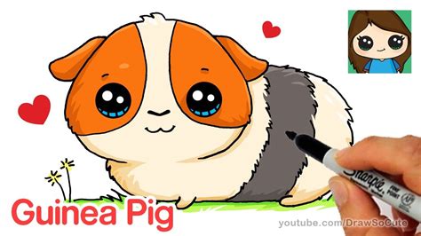 How to Draw a Guinea Pig Easy and Cute - YouTube