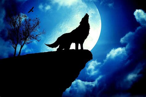 Wolf Moon Wallpapers - Top Free Wolf Moon Backgrounds - WallpaperAccess