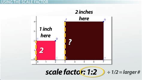 What is a Scale Factor? - Definition, Formula & Examples - Video ...