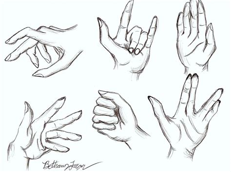 Hand Anatomy Drawing at GetDrawings | Free download