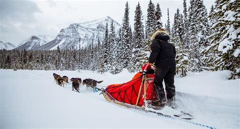 Sleigh Rides & Dog Sledding in Banff and Lake Louise | Banff & Lake ...