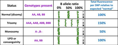 SNP array data can reveal copy number imbalance and homozygosity ...