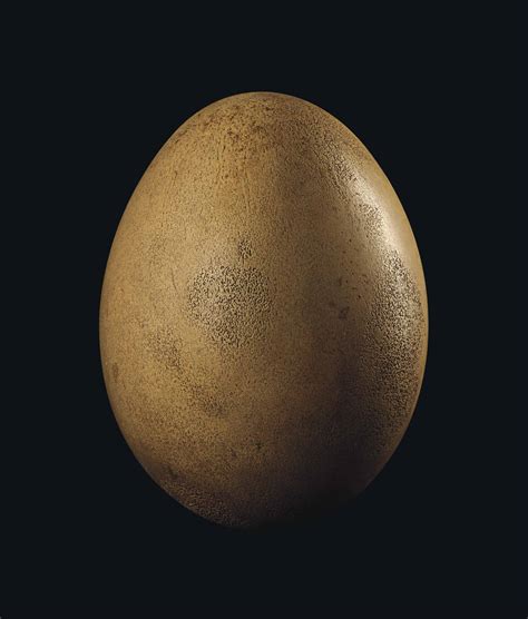 An Intact Elephant Bird Egg , MADAGASCAR, PRE-17TH CENTURY | Christie's