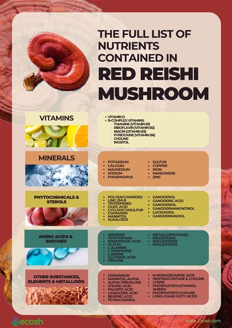 RED REISHI MUSHROOM (GANODERMA LUCIDUM, LINGZHI) - 13 Surprising Health ...