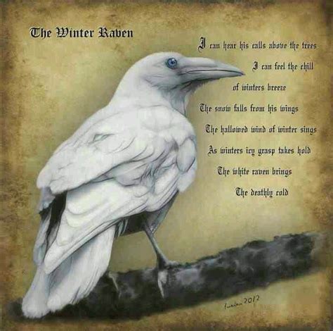 The Winter Raven. Though I am loathe to pin pics that contain spelling ...