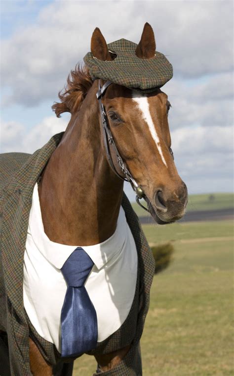 Horse Gets Tailored Three-Piece Suit, Looks Absolutely Dashing