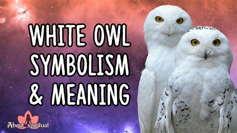 White Owl Symbolism And Meaning | White Owl Spirit Animal - YouTube