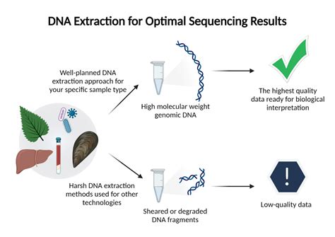 Sequencing 101: DNA extraction — tips, kits, and protocols - PacBio