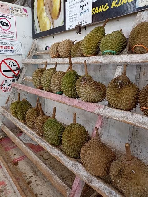 Musang King Durian Information, Recipes and Facts