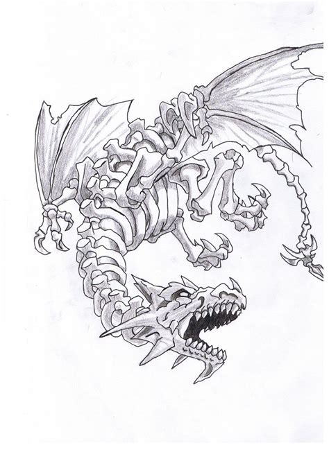 Dragon Skeleton Drawing at PaintingValley.com | Explore collection of ...