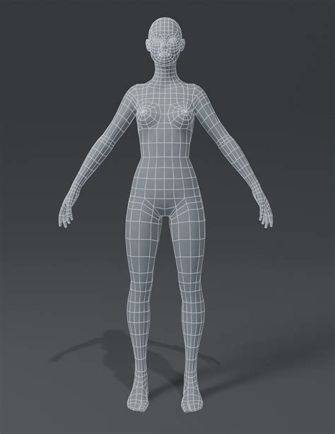 ArtStation - Human Body Base Mesh 10 3D Models Pack | Game Assets