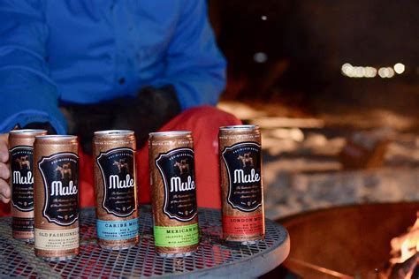 Mule 2.0 Announces Launch Of 4 New Canned Cocktails | Brewbound