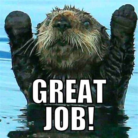 an animal that is in the water with its paws up and it says, great job