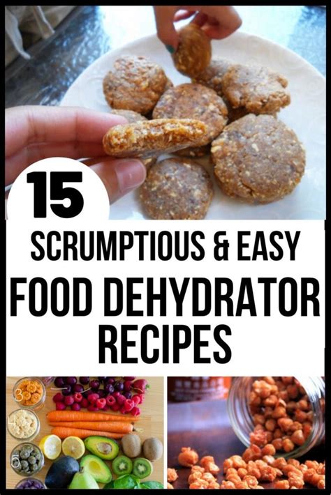 Dried Fruit + More Tasty Food Dehydrator Recipes