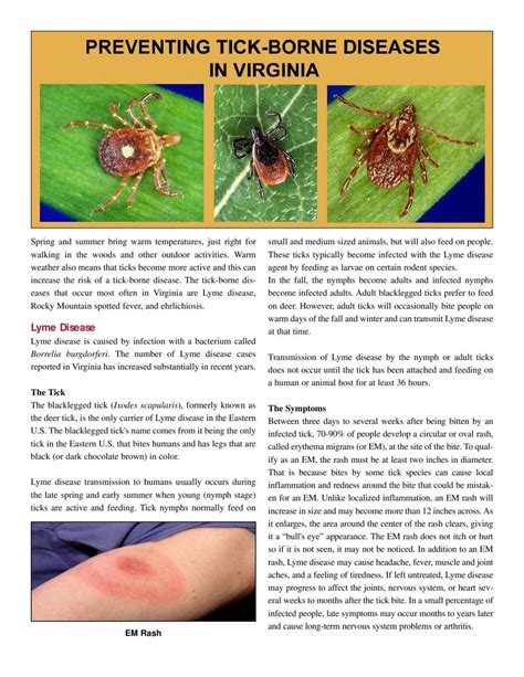 Preventing tick-borne disease in Virginia