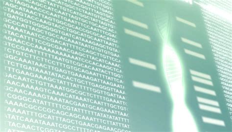 Why Is DNA the Blueprint of Life? | Sciencing