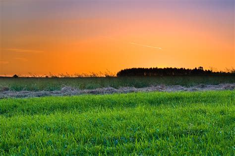 Sunset Field Grass - Free photo on Pixabay