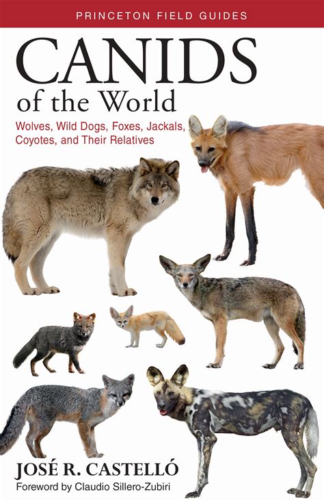 Canids of the World | Princeton University Press