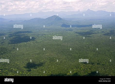 Aerial view of the Amazon forest in the Pico da Neblina National Park ...