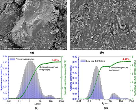 Scanning electron microscope microstructure scan and nuclear magnetic ...