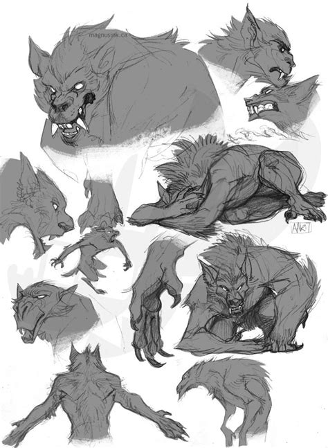 Anthro art | Werewolf drawing, Creature concept art, Creature drawings