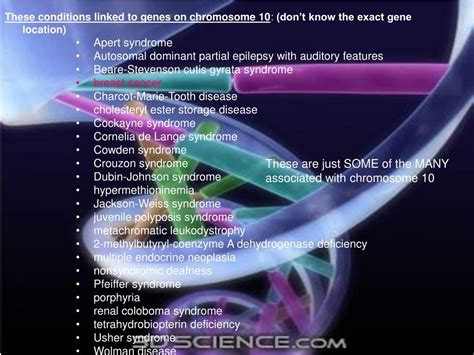 PPT - Chromosome 10 PowerPoint Presentation, free download - ID:5429631