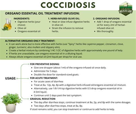 Coccidiosis Prevention and Treatment – The Holistic Goat