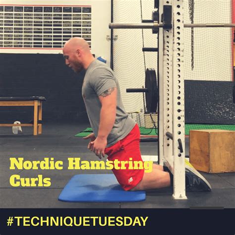 Technique Tuesday: Nordic Hamstring Curls - BONVEC STRENGTH