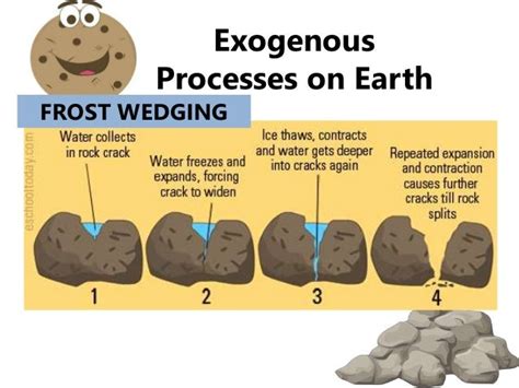 Exogenous processes on earth