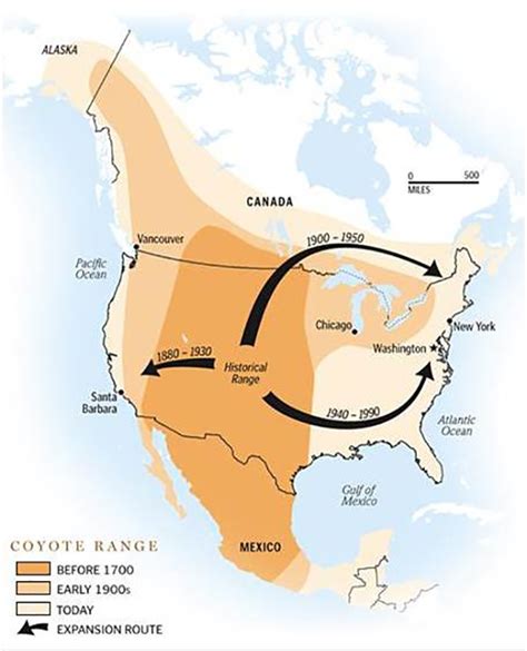 North American Distribution | Urban Coyote Research