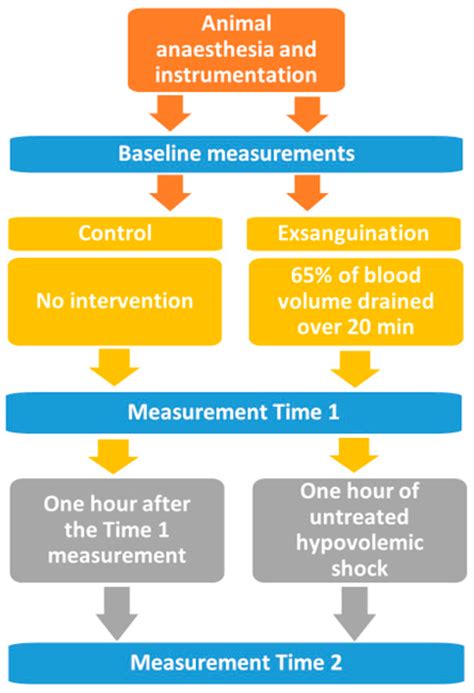 Diagnostics | Free Full-Text | Hemorrhagic Shock: Blood Marker ...