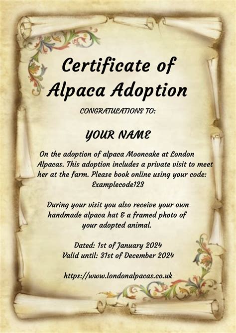 Alpaca adoption with private visit & Alpaca Hat! – London Alpacas