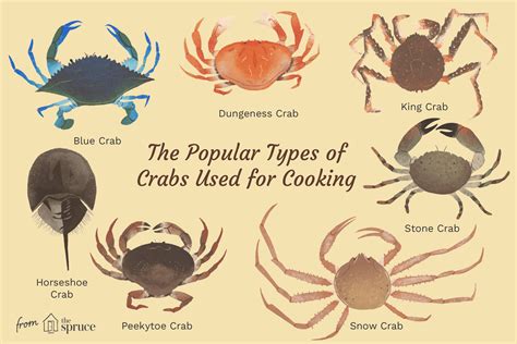 Edible Crab Varieties and Types