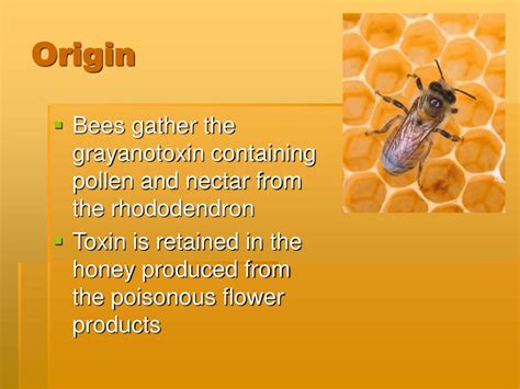 PPT - Mad Honey Poisoning PowerPoint Presentation, free download - ID ...